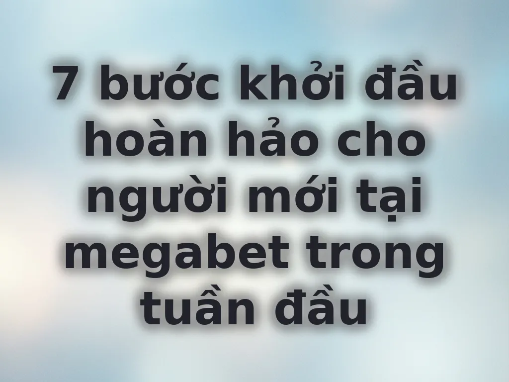 Lộ trình cho người mới